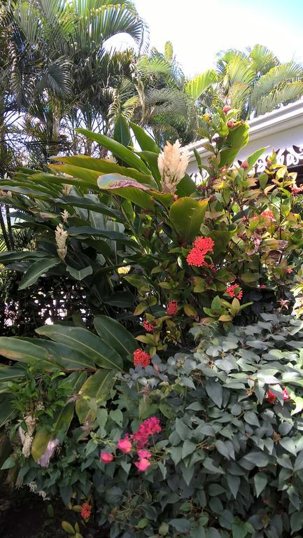 Cap Martinique Villa Sainte-Anne Exteriör bild